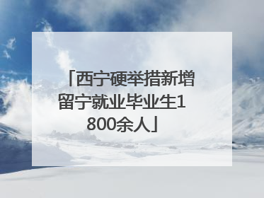 西宁硬举措新增留宁就业毕业生1800余人