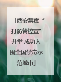 西安禁毒“打防管控宣”并举 成功入围全国禁毒示范城市