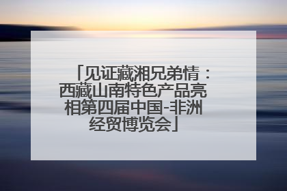 见证藏湘兄弟情：西藏山南特色产品亮相第四届中国-非洲经贸博览会