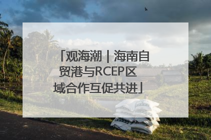 观海潮｜海南自贸港与RCEP区域合作互促共进