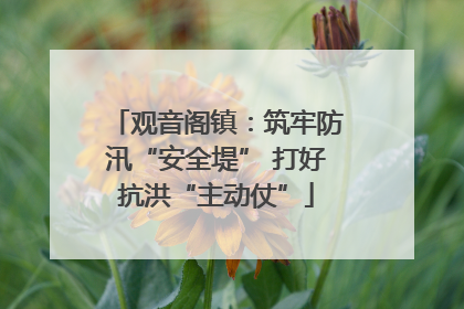 观音阁镇：筑牢防汛“安全堤” 打好抗洪“主动仗”