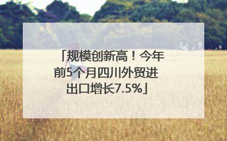 规模创新高！今年前5个月四川外贸进出口增长7.5%