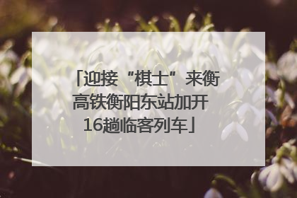 迎接“棋士”来衡 高铁衡阳东站加开16趟临客列车