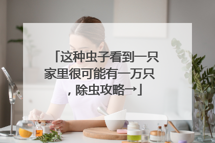 这种虫子看到一只家里很可能有一万只，除虫攻略→