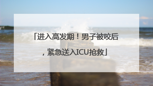 进入高发期！男子被咬后，紧急送入ICU抢救
