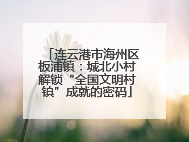 连云港市海州区板浦镇：城北小村解锁“全国文明村镇”成就的密码
