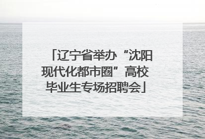 辽宁省举办“沈阳现代化都市圈”高校毕业生专场招聘会