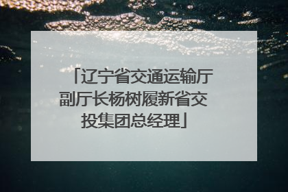 辽宁省交通运输厅副厅长杨树履新省交投集团总经理