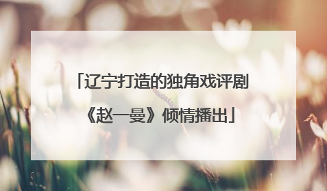 辽宁打造的独角戏评剧《赵一曼》倾情播出