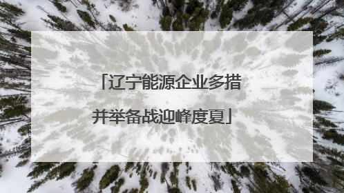 辽宁能源企业多措并举备战迎峰度夏