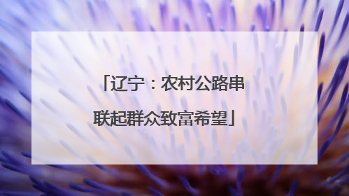 辽宁：农村公路串联起群众致富希望