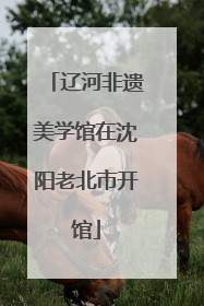 辽河非遗美学馆在沈阳老北市开馆