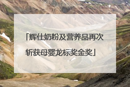 辉仕奶粉及营养品再次斩获母婴龙标奖金奖