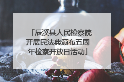 辰溪县人民检察院开展民法典颁布五周年检察开放日活动