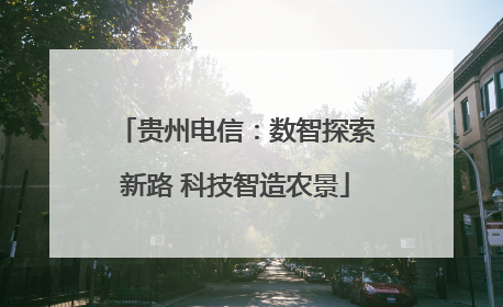 贵州电信：数智探索新路 科技智造农景