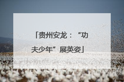 贵州安龙：“功夫少年”展英姿
