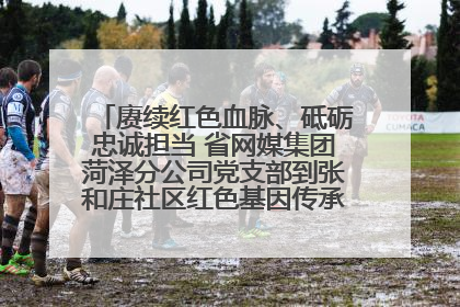 赓续红色血脉、砥砺忠诚担当 省网媒集团菏泽分公司党支部到张和庄社区红色基因传承馆开展主题党日活动