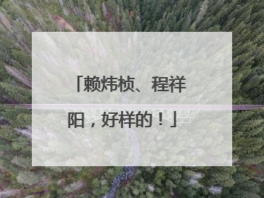 赖炜桢、程祥阳，好样的！