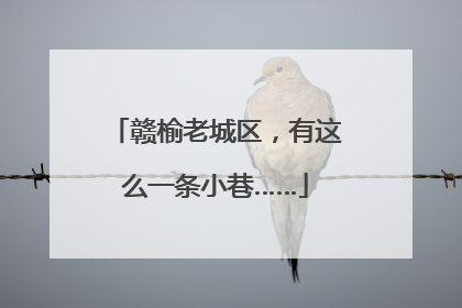 赣榆老城区，有这么一条小巷……
