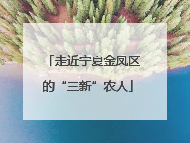走近宁夏金凤区的“三新”农人