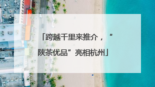 跨越千里来推介，“陕茶优品”亮相杭州