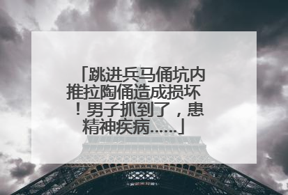 跳进兵马俑坑内推拉陶俑造成损坏！男子抓到了，患精神疾病……
