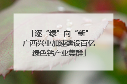 逐“绿”向“新” 广西兴业加速建设百亿绿色钙产业集群