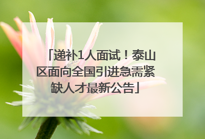 递补1人面试！泰山区面向全国引进急需紧缺人才最新公告