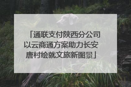 通联支付陕西分公司以云商通方案助力长安唐村绘就文旅新图景