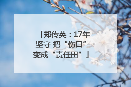 郑传英：17年坚守 把“伤口”变成“责任田”