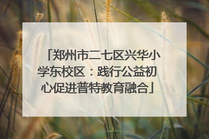 郑州市二七区兴华小学东校区：践行公益初心促进普特教育融合