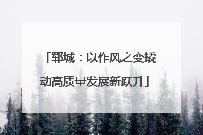郓城：以作风之变撬动高质量发展新跃升