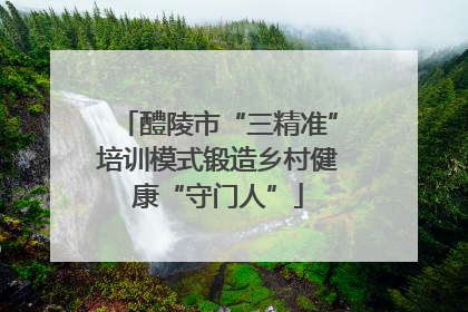 醴陵市“三精准”培训模式锻造乡村健康“守门人”