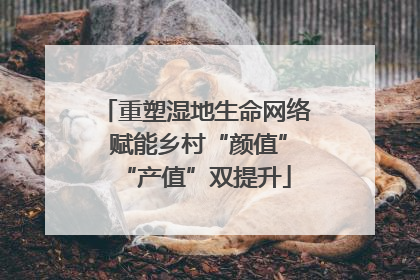 重塑湿地生命网络 赋能乡村“颜值”“产值”双提升