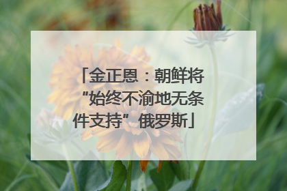 金正恩：朝鲜将“始终不渝地无条件支持”俄罗斯