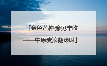 金色芒种·豫见丰收——中原麦浪翻滚时