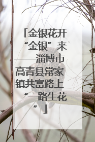 金银花开“金银”来——淄博市高青县常家镇共富路上“一路生花”