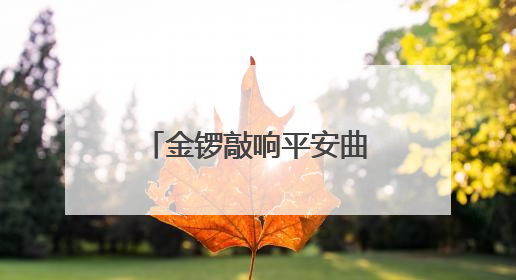 金锣敲响平安曲，西厂口社区“平安合伙人”携手共筑幸福家