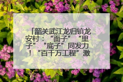 韶关武江龙归镇龙安村：“面子”“里子”“底子”同发力！“百千万工程”激活乡村新动能