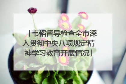 韦韬督导检查全市深入贯彻中央八项规定精神学习教育开展情况