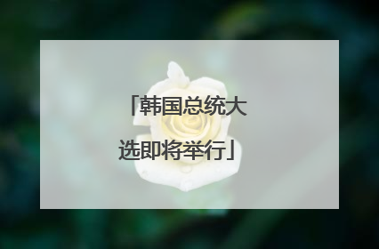 韩国总统大选即将举行