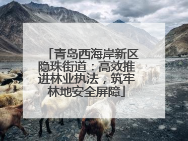 青岛西海岸新区隐珠街道：高效推进林业执法，筑牢林地安全屏障