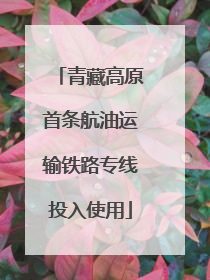 青藏高原首条航油运输铁路专线投入使用