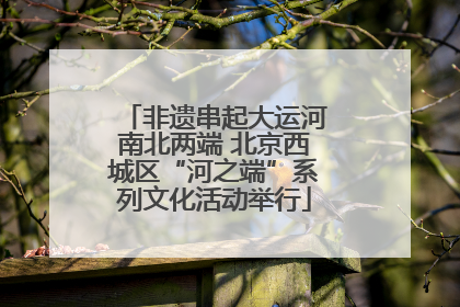 非遗串起大运河南北两端 北京西城区“河之端”系列文化活动举行