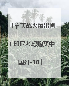 靠实战火爆出圈！印尼考虑购买中国歼-10