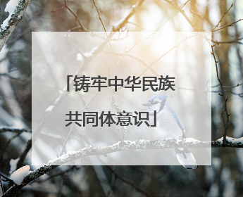 铸牢中华民族共同体意识