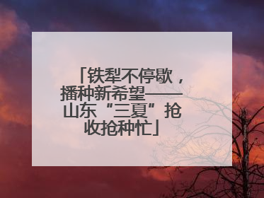 铁犁不停歇，播种新希望——山东“三夏”抢收抢种忙