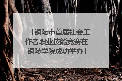 铜陵市首届社会工作者职业技能竞赛在铜陵学院成功举办