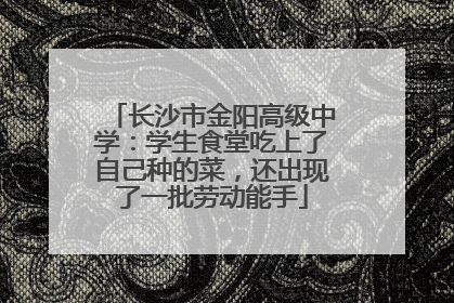 长沙市金阳高级中学：学生食堂吃上了自己种的菜，还出现了一批劳动能手
