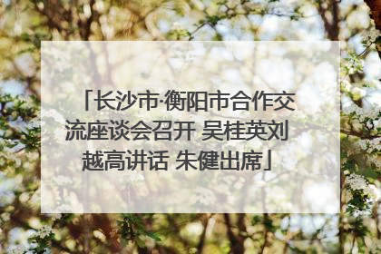 长沙市·衡阳市合作交流座谈会召开 吴桂英刘越高讲话 朱健出席